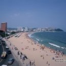 4326 | 四字成語 총정리 <ㅅ> 89 사질점토~사창유적