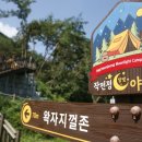 작천정달빛야영장 이미지