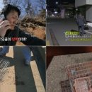 '실화탐사대', 고양이 학대 사건 전말 추적한다 이미지