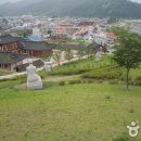 생초 Daum카페