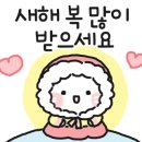 더드림행정사사무소 이미지