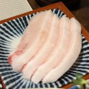 김낙천 참치 이미지