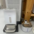 고양이 생활 호텔 이미지