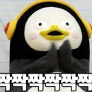 엘스트링
