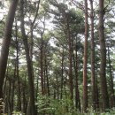 군북-6 이미지