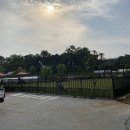 댕댕라운지 이미지