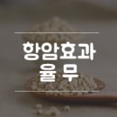 주은식품