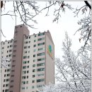 분당-318 이미지