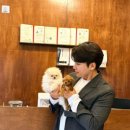 프리펫강아지분양고양이분양천안