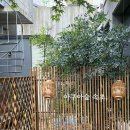 아쿠아숲속초 | 속초카페/강원도아이와가볼만한곳 볼거리가득/아쿠아숲 속초