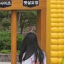 CU 춘천퇴계점 이미지