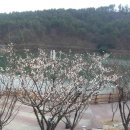 사라수변공원입구 이미지