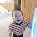 곤지곤지잼잼 | 8-9개월 아기 발달 특징(첫니시기 및 이 나는 순서,이앓이,곤지곤지,기기)