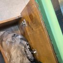 이층집 | 동탄 남광장 꽃삼겹 맛집 교대이층집 데이트 후기