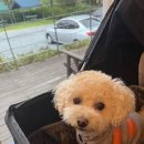 유정1955 이미지