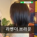 남포역 | 부산 남포역 여자 중단발 레이어드컷과 탈색없이 라벤더브라운 염색 후기