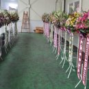 영남화훼농협 이미지