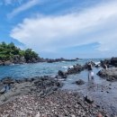 자유로운 사색가 이미지