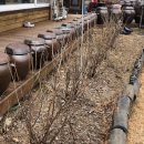 들뫼펜션 이미지