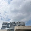 제30회 대구 사회복지 대회 | [공모전 후기] 110팀 중 12팀 본선·입상｜2026 달서 전국 대학생 AI활용 아이디어 콘테스트 ‘달서...
