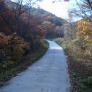 더플라워펜션 이미지