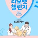 조이펫헬스