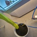 E안경대인점 이미지