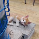 삼주세탁소 이미지