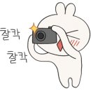 슈치쿠(SHUCHIKU) 이미지