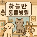 리라동물병원 이미지
