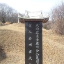 최광택 | 성균관진사 김면진 묘소 成均館進士金冕鎭墓所