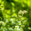 상갈래 도로변 이미지