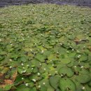 와우공원 이미지