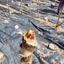 인지공판장 이미지