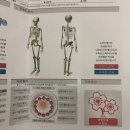 더센터오브필라테스분당정자 | [분당] 필앤필필라테스 리메디얼센터 :: 정자역 재활전문 필라테스 | 승모근 견갑 발아치 자세 교정 후기