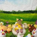 붐마트 | 광주 첨단 롯데마트 문화센터 5개월 아기랑 오감만족 베이비붐 후기 문화센터 준비물 주의사항