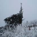 1월11일 강원 오대산,비로봉 상고대와 눈꽃이 ,환상적인곳... 이미지