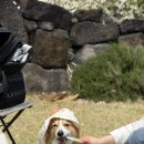 더쉼팡 민박 이미지