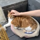 온더문(onthemoon) | [온더문] 서울대/ 샤로수길 착한가격과 디저트 맛있는 카페 후기 :3