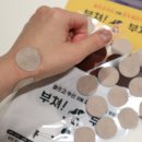 도솔컴퍼니 네이버블로그