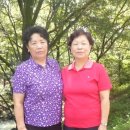 동창 이미지