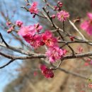 이시돌쉼터 이미지