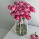 올로르플라워OlorFlower | ꯁ웨딩촬영부케ꯁ ❛올로르플라워❜ 부케 후기 (멕마웨 송나경플래너님 서비스🕊)