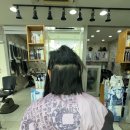 The 시크릿 헤어 | 여수붙임머리 탈색 없이 애쉬 투톤 완성｜시크릿붙임머리 후기 The붙임