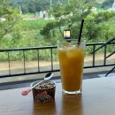 오늘도 예쁜 그루밍 이미지