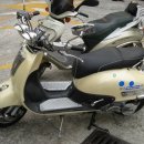 초이스팜 이미지