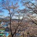 월곡 하늘공원 이미지