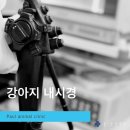 신현동물병원 네이버블로그
