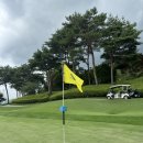 이효진 골프연습장(3층) | 분당 골프연습장 정자동 미켈란스포츠 5개월째 이용후기