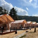 정선사북교차로점 | 정선맛집 대숲마을 생선구이 곤드레밥 영양돌솥밥정식 후기